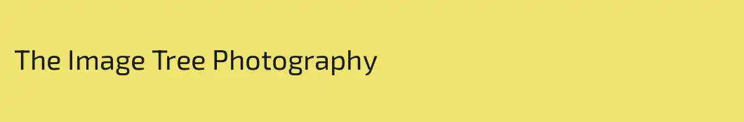 The Image Tree Photography